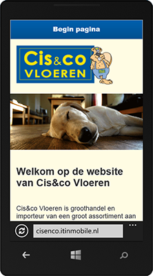 Cis & Co vloeren